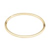 BOSS Live Yellow Gold-Tone Plated Stainless Steel Ladies Bangle 1580686