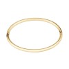 BOSS Live Yellow Gold-Tone Plated Stainless Steel Ladies Bangle 1580686