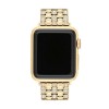 Coach Gold Tone Crystal Apple Watch Strap 14700262