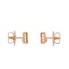 Princess Flower Stud Earrings AR777EA0640 RG 