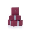 9Ct White Gold Ruby & 0.12Ct Diamond Caw Set Eternity Style Dress Ring