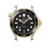 OMEGA Seamaster Diver 300M Co-Axial Master Chronometer 42mm Mens Watch 210.20.42.20.01.002