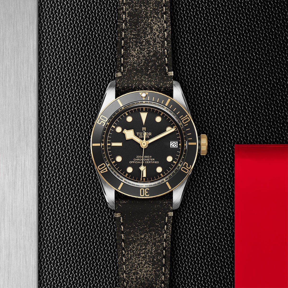 TUDOR Black Bay S&G 41mm Mens Watch M79733N-0007
