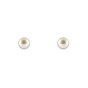 9ct Yellow Gold  Freshwater Pearl 4-4.5mm Stud Earrings