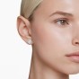 Swarovski Ariana Grande x Swarovski Heart Stud Earrings 5720859