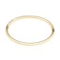 BOSS Live Yellow Gold-Tone Plated Stainless Steel Ladies Bangle 1580686