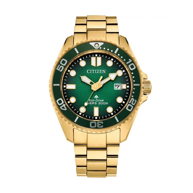 Citizen Promaster Diver BN0262-59W