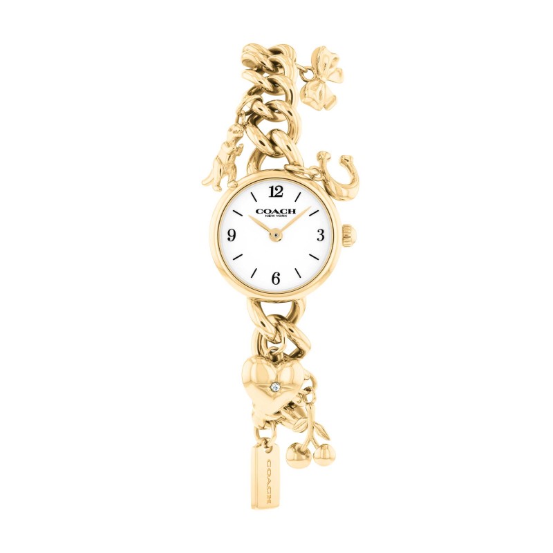 Coach Iris 22mm Charm Bracelet 14504648