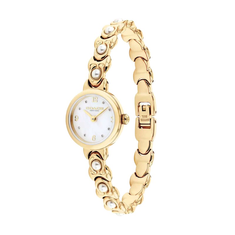 Coach Iris 22mm Watch 14504699