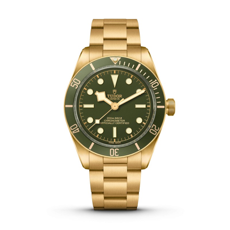 TUDOR Black Bay 58 18K Mens Watch M79018V-0006