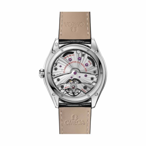 OMEGA De Ville Trésor Co-Axial Master Chronometer 40mm Mens Watch 435.13.40.21.02.001