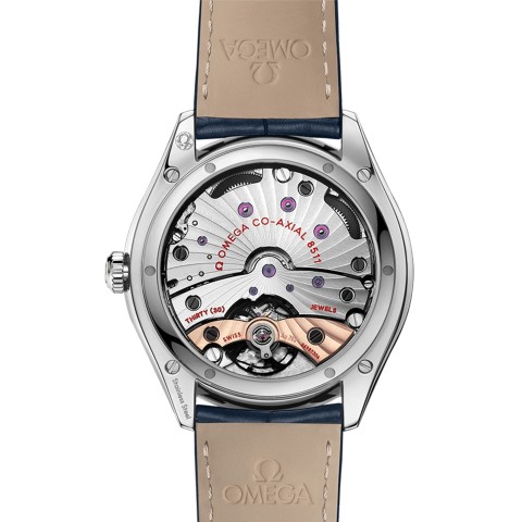 OMEGA De Ville Trésor Master Co-Axial Chronometer 40mm 'Orbis Edition' Mens Watch 432.13.40.21.03.001