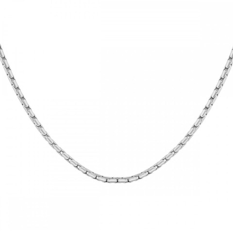 BOSS Evan Silver Chain Necklace 1580584