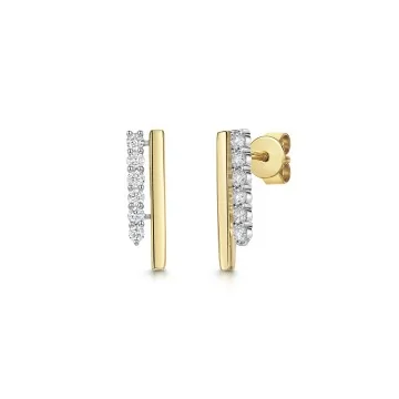 9ct 2 Colour Round Brilliant 0.25ct Diamond Double Row Drop Earrings