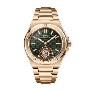 IWC Schaffhausen IIngenieur Tourbillon 41 Watch IW345901