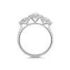 18ct White Gold Brilliant Cut 1.70ct Diamond Halo 3 Stone Ring