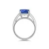 Platinum 2.80ct Tanzanite with 0.63ct Diamond Cluster Ring
