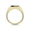 9ct Yellow Gold Gents Signet Ring