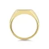 9ct Yellow Gold Gents Signet Ring