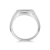 Transform | Silver Gents Moth Signet Ring