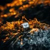 Transform | Silver Gents Moth Signet Ring