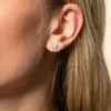 18ct Yellow Gold 0.75ct Round Brilliant 4 Claw Diamond Solitaire Earrings