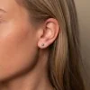 9ct Yellow Gold Sapphire Rub Over Earrings