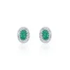 9ct White Gold Diamond 0.23ct and Emerald Halo Earrings 