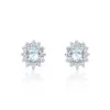 9ct White Gold 0.70ct Aquamarine & Diamond Halo Earrings