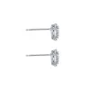 9ct White Gold Diamond 0.23ct and Aquamarine Halo Earrings