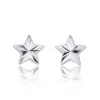 9ct White Gold Star Stud Earrings