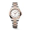 Longines Conquest 30mm Quartz Watch L3.350.3.18.7
