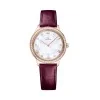 Omega De Ville Prestige Quartz 30mm Ladies Watch 434.58.30.60.55.001