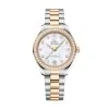 OMEGA Seamaster Aqua Terra 150M 30mm Ladies Watch 220.25.30.20.55.001