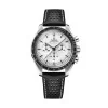 OMEGA Speedmaster Moonwatch Professional Chronograph 42mm Gents Watch O31032425004002