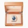 OMEGA Seamaster Diver 300M Co-Axial Master Chronometer 42mm Mens Watch 210.30.42.20.03.001
