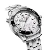 OMEGA Seamaster Diver 300M Co-Axial 42mm Mens Watch 210.30.42.20.04.001