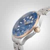 OMEGA Seamaster Diver 300 Co-Axial Mens Watch 210.20.42.20.03.002