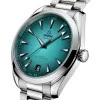 OMEGA Seamaster Aqua Terra 41mm Chronometer Watch 220.10.41.21.03.006