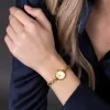 Rotary 1895 20mm Ladies Watch RLB10004/03