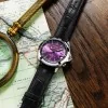 Seiko 145th Anniversary Alpinist Automatic Edo Purple Limited Edition Watch HBC006J1