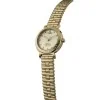 Vivienne Westwood The Chelsea 31mm Watch VV346LGYGD