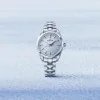 Grand Seiko Heritage Collection Skyflake Annual Accuracy 33mm Quartz Watch SBGX361