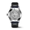 IWC Schaffhausen Pilot's Mark XX Mens Watch IW328203