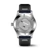 Ex-Display IWC Schaffhausen Pilots Mark XX Mens Watch IW328203