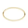 BOSS Live Yellow Gold-Tone Plated Stainless Steel Ladies Bangle 1580686