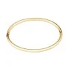 BOSS Live Yellow Gold-Tone Plated Stainless Steel Ladies Bangle 1580686