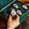 Wolf British Racing Green 10 Piece Watch Box 792841