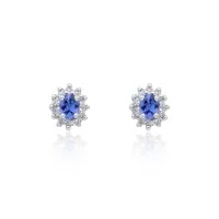 9ct White Gold 0.50ct Diamond and Tanzanite Halo Earrings