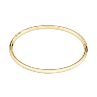 BOSS Live Yellow Gold-Tone Plated Stainless Steel Ladies Bangle 1580686